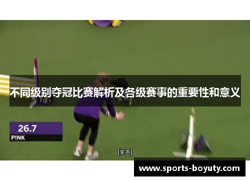 不同级别夺冠比赛解析及各级赛事的重要性和意义